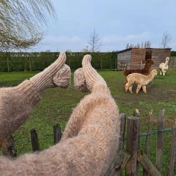 Adorable knits - Ginger mittens - Afbeelding 3